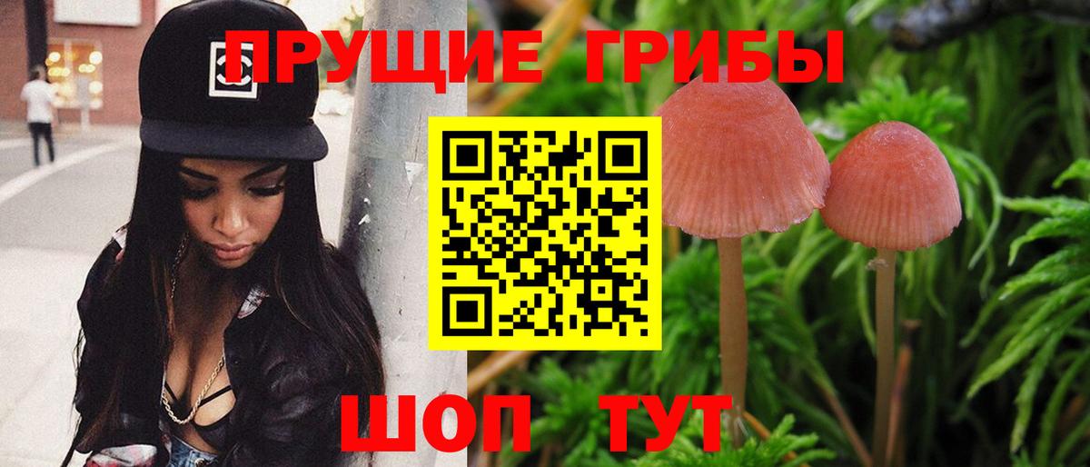 Псилоцибиновые грибы прущие грибы Борисоглебск
